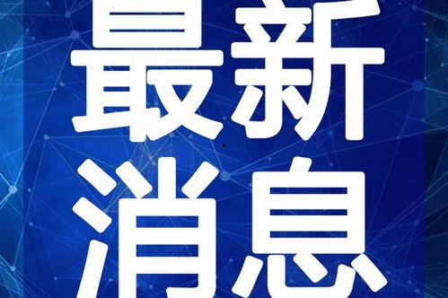桂平融媒最新爆料视频,揭秘事件背后惊人真相！