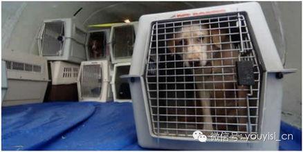 古越最新爆料上设备,揭秘上设备背后的神秘力量