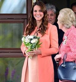 凯特王妃最新爆料视频大全,最新爆料视频大盘点